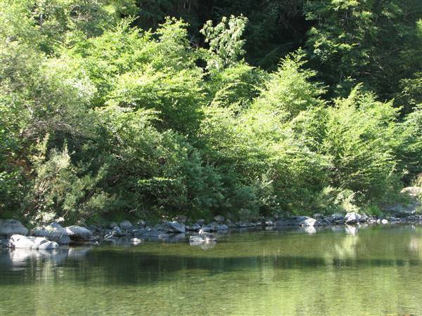 Standish-Hickey State Recreation Area (SRA) - http://stateparkclosurestrip.blogspot.com/ (3/3/2016 - Credits: Photo courtesy of Lucy D'Mot)