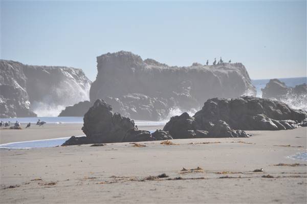 Leo Carrillo State Park and Beach (SP) (3/7/2016 - Credits: Photo courtesy of Robin Citrin)
