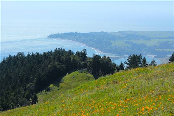 Mount Tamalpais State Park (SP) (3/9/2016 - Credits: Photo courtesy of Marin Convention & Visitors Bureau)
