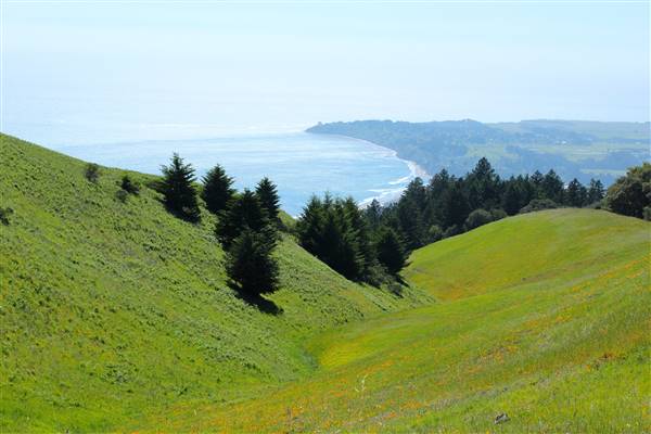Mount Tamalpais State Park (SP) (3/9/2016 - Credits: Photo courtesy of Marin Convention & Visitors Bureau)