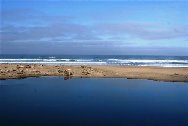 San Gregorio State Beach (SB) (3/10/2016 - Credits: Photo courtesy of SMCCVB)