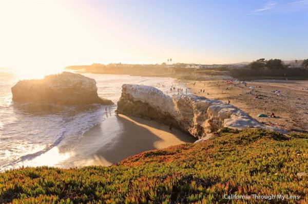 Natural Bridges State Beach (SB) - Photo courtesy of Josh McNair, http://californiathroughmylens.com/ (3/24/2016 - Credits: Photo courtesy of Josh McNair, photo courtesy of Josh McNair, Photo courtesy of Josh McNair, Photo courtesy of Josh McNair, Photo courtesy of Josh McNair, http://californiathroughmylens.com/)