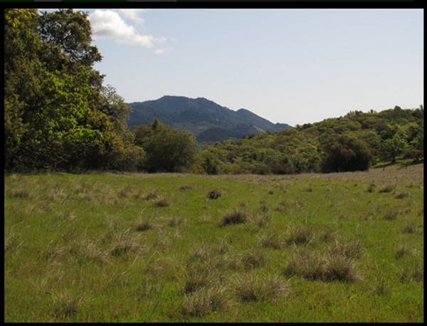 Trione-Annadel State Park (SP) - Photo courtesy of Tim Sartoris (4/7/2016 - Credits: Photo courtesy of Tim Sartoris)