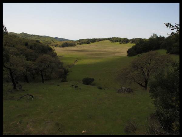 Trione-Annadel State Park (SP) - Photo courtesy of Tim Sartoris (4/7/2016 - Credits: Photo courtesy of Tim Sartoris)