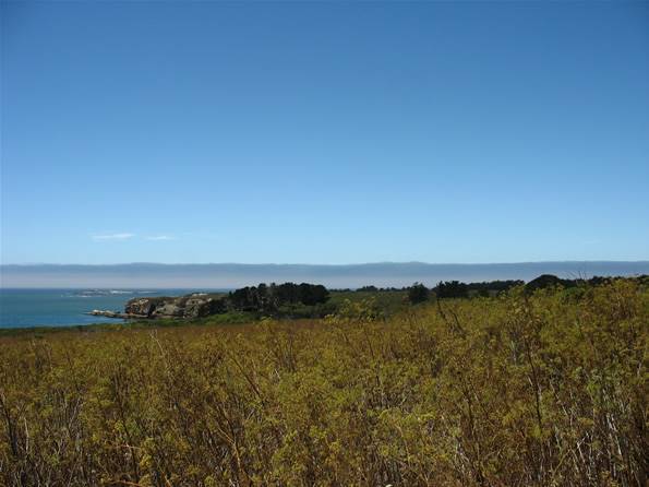 Año  Nuevo State Park (SP) - Photo courtesy of Tim Sartoris (4/7/2016 - Credits: Photo courtesy of Tim Sartoris)
