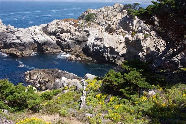 Point Lobos State Natural Reserve (SNR) - Photos by Callie Bowdish - http://www.calliebowdish.com/slideshow/PointLobos/index.html (4/7/2016 - Credits: Photos by Callie Bowdish - http://www.calliebowdish.com/slideshow/PointLobos/index.html)