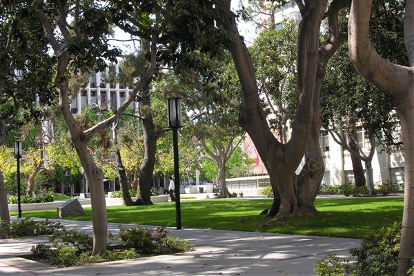 University of Southern California - USC (4/15/2016 - Credits: Photo by Robin Citrin)