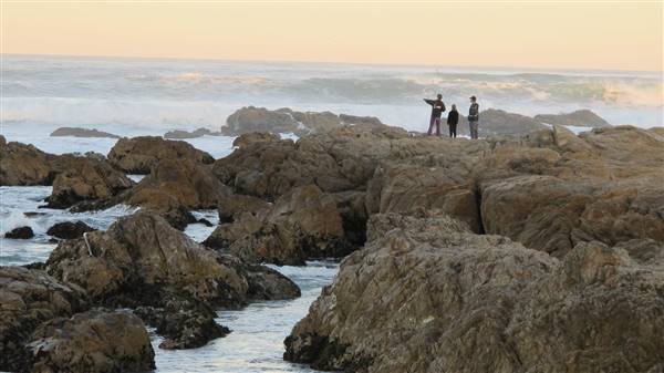 Asilomar State Beach and Conference Grounds (11/27/2010 - Credits: By Ed Bierman from CA, usa (Tide Pooling  Uploaded by Ekabhishek) [CC BY 2.0 (http://creativecommons.org/licenses/by/2.0)], via Wikimedia Commons)