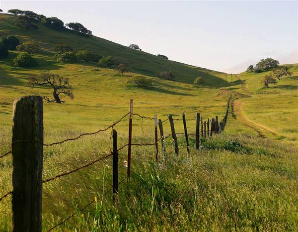 Pacheco State Park (SP) and Windmill Farm / Wind Energy (4/5/2008 - Credits: "Pacheco State Park" by Flickr User: Akshay (CC BY-NC-ND 2.0) [https://creativecommons.org/licenses/by-nc-nd/2.0/legalcode] https://www.flickr.com/people/aatflickr/)