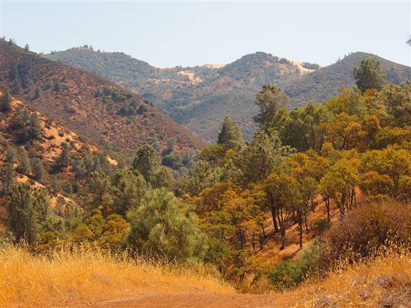 Mount Diablo State Park (SP) (8/17/2012 - Credits: "Mount Diablo State Park" by J. Maughn (CC BY-NC2.0) [https://creativecommons.org/licenses/by-nc/2.0/legalcode] https://www.flickr.com/photos/jmaughn/)
