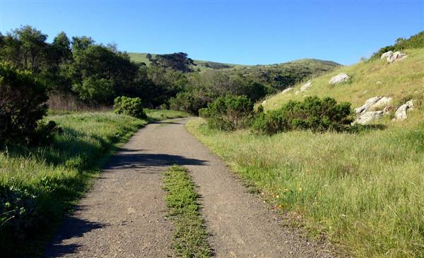 Harmony Headlands State Park (SP) (3/26/2016 - Credits: "Harmony Headlands Trail" By Joyce Cory (CC BY 2.0)[https://creativecommons.org/licenses/by/2.0/legalcode]https://www.flickr.com/photos/docentjoyce/)