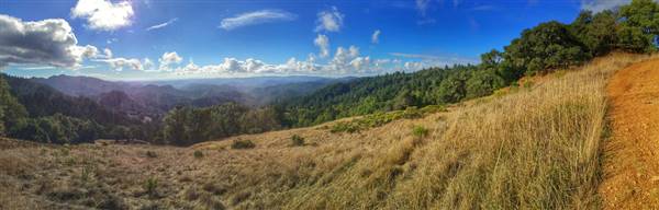 Armstrong Redwoods State Natural Reserve (SNR) (10/18/2014 - Credits: "Vista View at Armstroong Redwoods State Natural Reserve" By Harminder Dhesi (CC BY-NC-ND 2.0)[https://creativecommons.org/licenses/by-nc-nd/2.0/legalcode] https://www.flickr.com/photos/harmyd/)