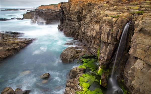 Salt Point State Park (SP) (5/7/2016 - Credits: "Sonoma Tidefall" image by Joe Parks (CC BY-NC 2.0)[https://creativecommons.org/licenses/by-nc/2.0/legalcode]https://www.flickr.com/photos/parksjd/)