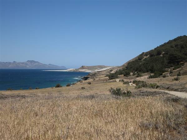 Channel Islands National Park - Santa Rosa Island (5/11/2014 - Credits: "Santa Rosa Island" by Edward Stojakovic (CC BY 2.0)[https://creativecommons.org/licenses/by/2.0/legalcode]https://www.flickr.com/photos/akasped/)