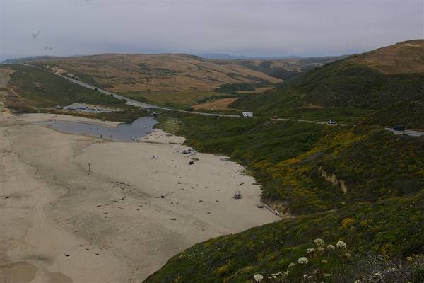 Pomponio State Beach (SB) (4/29/2009 - Credits: "fridaylarry 113" by John Vonderlin (CC BY-NC 2.0)[https://creativecommons.org/licenses/by-nc/2.0/legalcode]https://www.flickr.com/photos/johnvonderlin/)