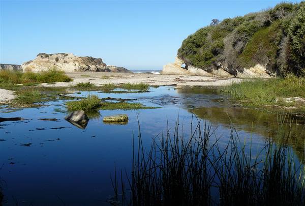 Montana de Oro State Park (SP) (6/5/2009 - Credits: "Islay Creek" by Joyce Cory (CC BY 2.0)[https://creativecommons.org/licenses/by/2.0/legalcode]https://www.flickr.com/photos/docentjoyce/)