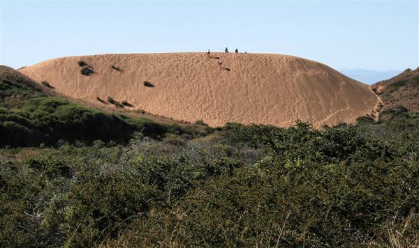 Montana de Oro State Park (SP) (9/1/2010 - Credits: "Dune Skiing, Montana de Oro" by Chris Jepsen (CC BY-NC-ND 2.0)[https://creativecommons.org/licenses/by-nc-nd/2.0/legalcode]https://www.flickr.com/photos/traderchris/)