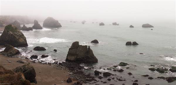 Sonoma Coast State Park (SP) (2/16/2015 - Credits: "Sonoma Coast State Park" by Cyril Fluck (CC BY 2.0)[https://creativecommons.org/licenses/by/2.0/legalcode]https://www.flickr.com/photos/39090590@N02/)