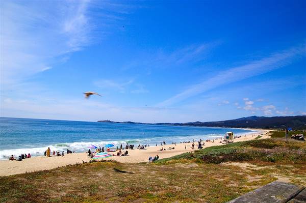 Half Moon Bay State Beach (SB) (6/15/2009 - Credits: "Half Moon Bay 110" by Ming-yen Hsu (CC BY-ND 2.0)[https://creativecommons.org/licenses/by-nd/2.0/legalcode]https://www.flickr.com/photos/myhsu/)