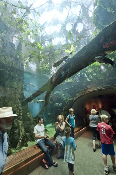 California Academy of Sciences (6/28/2014 - Credits: Photograph Courtesy of Visit California)