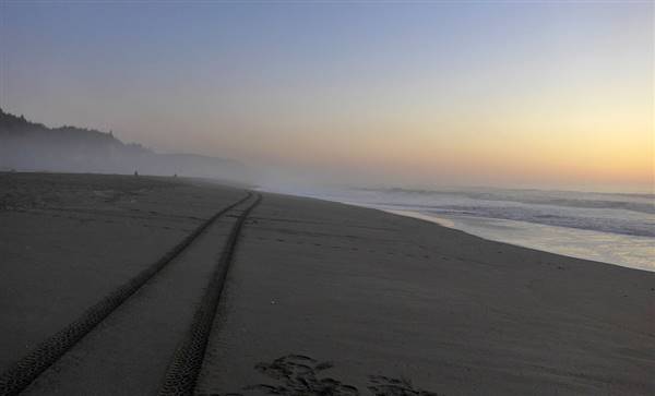 Redwood National & State Parks (10/5/2014 - Credits: "uncrowded beach #1" by Chris deRham (CC BY-NC-ND 2.0)[https://creativecommons.org/licenses/by-nc-nd/2.0/legalcode]https://www.flickr.com/photos/mon_oeil/)