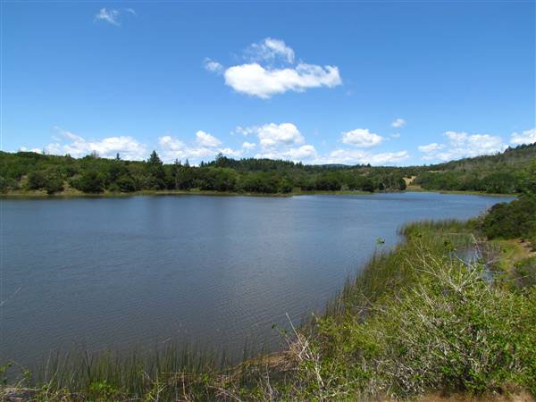 Trione-Annadel State Park (SP) (5/29/2011 - Credits: "Lake Ilsanjo, Annadel State Park" by David Berry (CC BY 2.0)[https://creativecommons.org/licenses/by/2.0/legalcode]https://www.flickr.com/photos/dberry/)