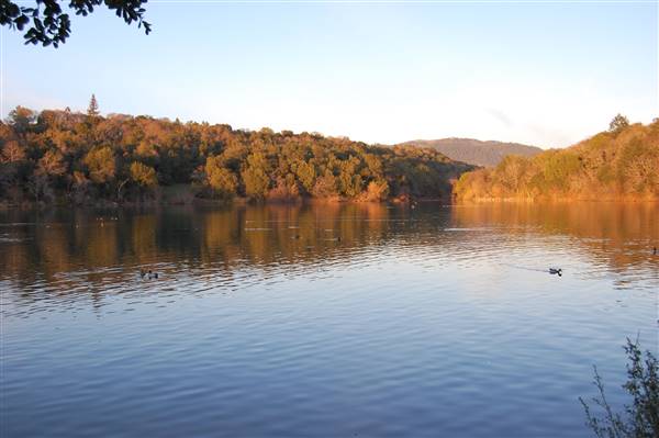 Lake Ralphine (2/10/2008 - Credits: "Lake Ralphine 001" by Ren Norman (CC BY-NC-ND 2.0)[https://creativecommons.org/licenses/by-nc-nd/2.0/legalcode]https://www.flickr.com/photos/ren_norman/)