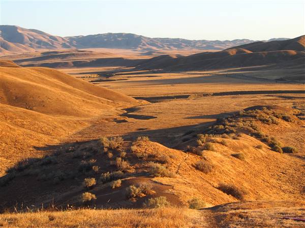 Panoche Hills - BLM (6/1/2013 - Credits: "Panoche Hills" by Flickr User: J. Maughn (CC BY-NC 2.0)[https://creativecommons.org/licenses/by-nc/2.0/legalcode]https://www.flickr.com/photos/jmaughn/)