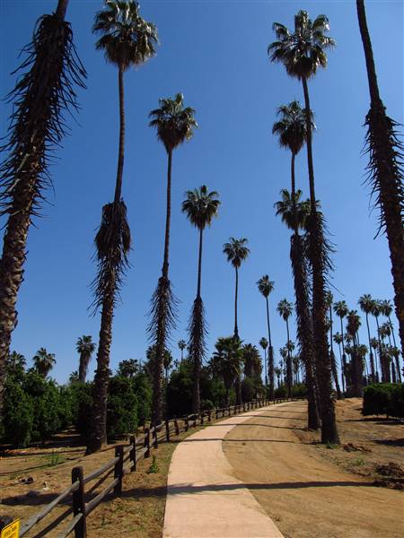 California Citrus State Historic Park (SHP) (3/24/2013 - Credits: "California Citrus State Historic Park" by Flickr User: Jasperdo (CC BY-NC-ND 2.0)[https://creativecommons.org/licenses/by-nc-nd/2.0/legalcode]https://www.flickr.com/photos/mytravelphotos/)