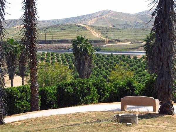 California Citrus State Historic Park (SHP) (3/24/2013 - Credits: "California Citrus State Historic Park" by Flickr User: Jasperdo (CC BY-NC-ND 2.0)[https://creativecommons.org/licenses/by-nc-nd/2.0/legalcode]https://www.flickr.com/photos/mytravelphotos/)