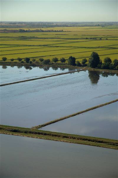 Sacramento-San Joaquin Delta (10/5/2016 - Credits: Photo courtesy of California Department of Water Resources)