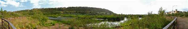 Ballona Wetlands Ecological Reserve - California Department of Fish & Wildlife (CDFW) (5/10/2009 - Credits: "Ballona Wetlands" by Flickr User: dailymatador (CC BY-NC-ND 2.0)[https://creativecommons.org/licenses/by-nc-nd/2.0/legalcode] https://www.flickr.com/photos/dailymatador/)