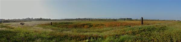 Ballona Wetlands Ecological Reserve - California Department of Fish & Wildlife (CDFW) (5/10/2009 - Credits: "Ballona Wetlands" by Flickr User: dailymatador (CC BY-NC-ND 2.0)[https://creativecommons.org/licenses/by-nc-nd/2.0/legalcode] https://www.flickr.com/photos/dailymatador/)