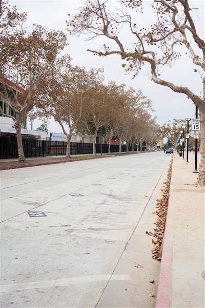 Roads and Surfaces at Exposition Park - Exposition Park Drive (10/13/2016 - Credits: Photo by Gillian Bissonnette (C) CFC)
