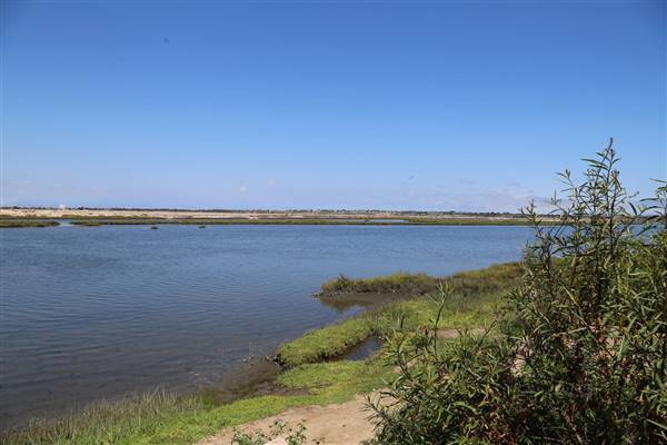 Bolsa Chica Ecological Reserve - California Department of Fish & Wildlife (CDFW) (10/18/2016 - Credits: Photo courtesy of Kris Bunting)