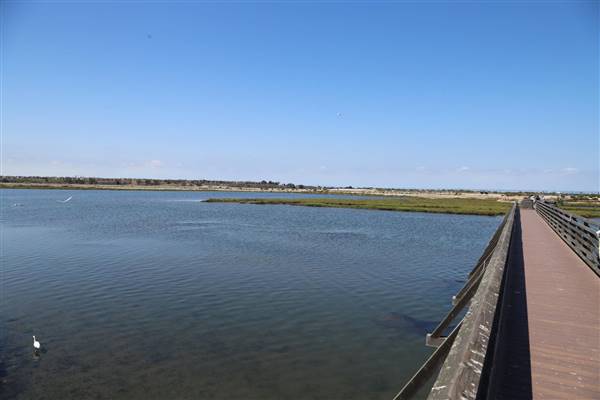 Bolsa Chica Ecological Reserve - California Department of Fish & Wildlife (CDFW) (10/18/2016 - Credits: Photo courtesy of Kris Bunting)