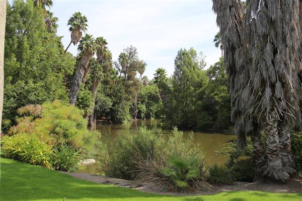 Los Angeles County Arboretum (11/3/2016 - Credits: Photo courtesy of Kris Bunting)