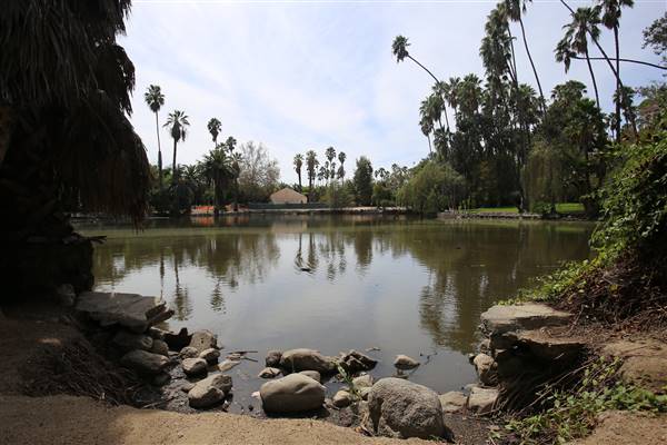 Los Angeles County Arboretum (11/3/2016 - Credits: Photo courtesy of Kris Bunting)
