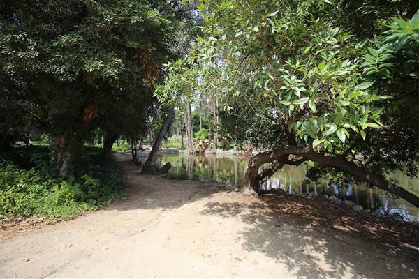 Los Angeles County Arboretum (11/3/2016 - Credits: Photo courtesy of Kris Bunting)