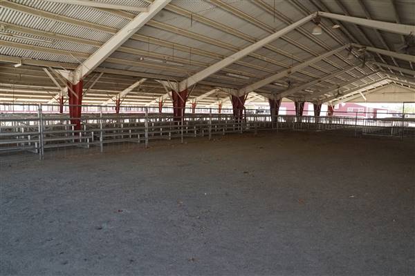 Kern County Fair - 15th DAA - Various Barn and Livestock Areas (11/7/2016 - Credits: Barns & Livestock Area - Photo courtesy of Kern County Fair)