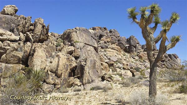 Desert View Conservation Area (4/28/2014 - Credits: Marc Hlavaty)