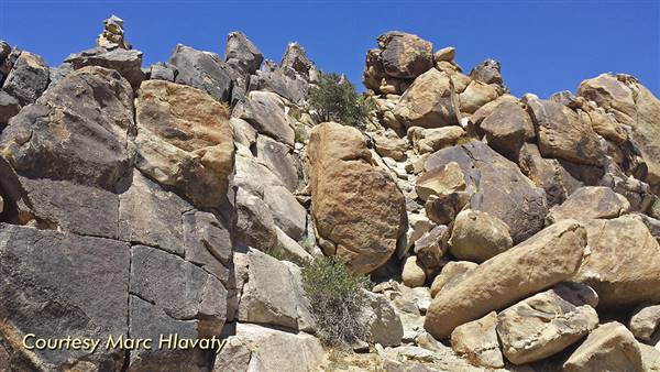 Desert View Conservation Area (4/28/2014 - Credits: Marc Hlavaty)