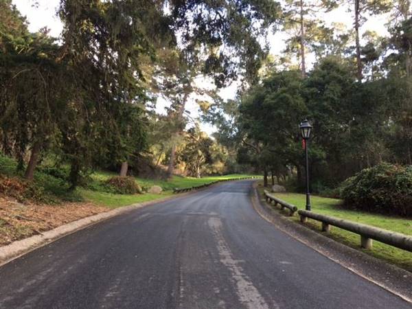 Litchfield Road (6/28/2017)