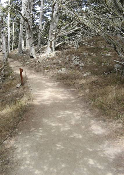 Point Lobos State Natural Reserve (SNR) (6/28/2017)