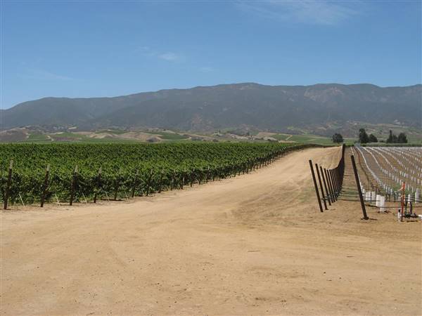 Joyce Winery (fka Ventana Vineyards) (6/28/2017)