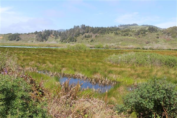 Ten Mile Estuary State Marine Conservation Area - Ten Mile River (3/29/2017 - Credits: Kellen Lim)