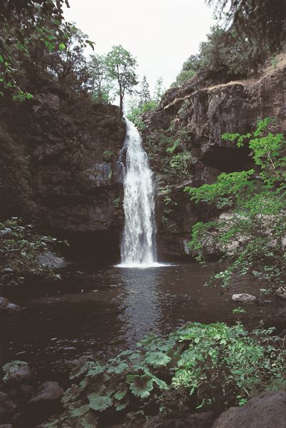 Shasta County Waterfalls (1/19/2018)
