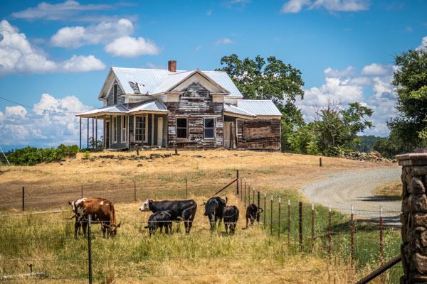 Shasta County Towns & Cities (1/19/2018)