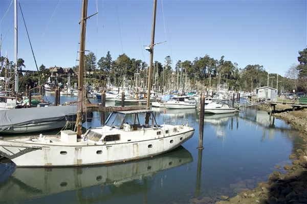 Noyo Harbor District - Noyo Harbor District (Noyo Harbor south bank) (2/13/2018 - Credits: Kellen Lim)