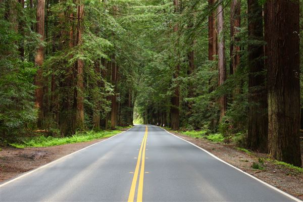 Navarro River Redwoods State Park (SP) - Highway 128, Navarro River Corridor (4/5/2017 - Credits: Kellen Lim)